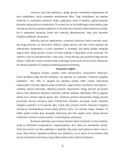 Šešėlinės ekonomikos funkcionavimas 18 puslapis