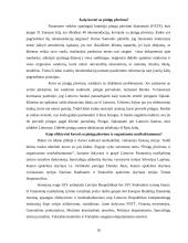 Šešėlinės ekonomikos funkcionavimas 19 puslapis