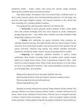 Šešėlinės ekonomikos funkcionavimas 3 puslapis