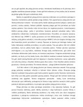 Šešėlinės ekonomikos funkcionavimas 4 puslapis