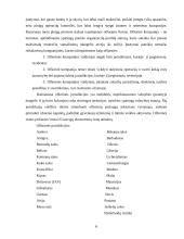 Šešėlinės ekonomikos funkcionavimas 6 puslapis