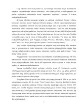 Šešėlinės ekonomikos funkcionavimas 7 puslapis