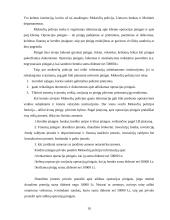 Šešėlinės ekonomikos funkcionavimas 10 puslapis