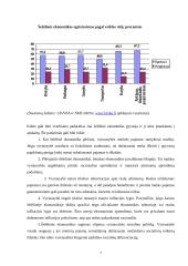 Nelegalioji/šešėlinė ekonomika 6 puslapis