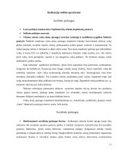 Šeškinės socialinės situacijos analizė 11 puslapis