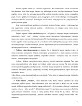 Šeškinės socialinės situacijos analizė 13 puslapis