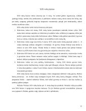 Šeškinės socialinės situacijos analizė 15 puslapis