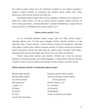 Šeškinės socialinės situacijos analizė 17 puslapis