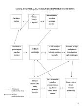 Šeškinės socialinės situacijos analizė 19 puslapis