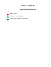 Šeškinės socialinės situacijos analizė 9 puslapis