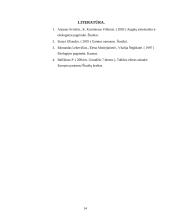 Šiaulių miesto Talkšos ežeras sulaukė Europos paramos 13 puslapis