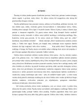 Šiaulių miesto Talkšos ežeras sulaukė Europos paramos 2 puslapis