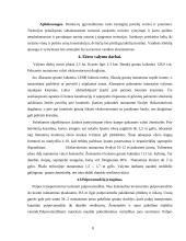 Šiaulių miesto Talkšos ežeras sulaukė Europos paramos 7 puslapis