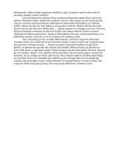 Šikšnosparniai 4 puslapis