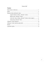 Šiltnamio efektas 2 puslapis