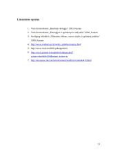 Šiltnamio efektas 13 puslapis