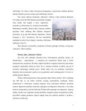 Šiltnamio efektas 7 puslapis