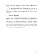 Šiltnamio efektas 9 puslapis