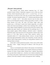 Šiltnamio efektas 10 puslapis