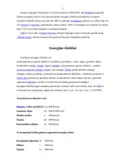 Šiluminė energetika 3 puslapis