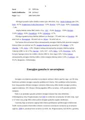 Šiluminė energetika 4 puslapis