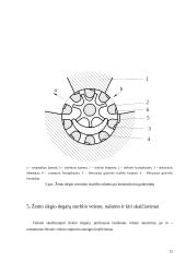 Šilumvežių variklių degalų tiekimo sistemos siurbliai, jų konstrukcijos 12 puslapis