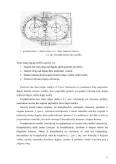 Šilumvežių variklių degalų tiekimo sistemos siurbliai, jų konstrukcijos 5 puslapis
