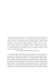 Šilumvežių variklių degalų tiekimo sistemos siurbliai, jų konstrukcijos 7 puslapis