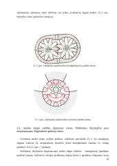 Šilumvežių variklių degalų tiekimo sistemos siurbliai, jų konstrukcijos 10 puslapis