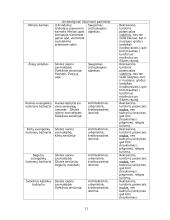 Šilutės rajono rekreacinės veiklos modelis 11 puslapis