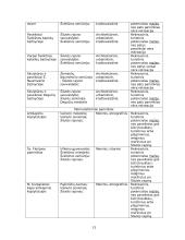 Šilutės rajono rekreacinės veiklos modelis 13 puslapis