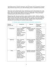 Šilutės rajono rekreacinės veiklos modelis 4 puslapis