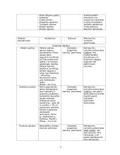 Šilutės rajono rekreacinės veiklos modelis 6 puslapis