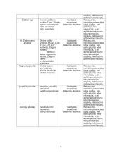 Šilutės rajono rekreacinės veiklos modelis 7 puslapis