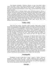 Širdies ir kraujagyslių sistema 2 puslapis