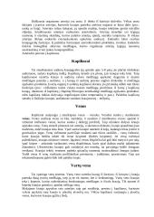 Širdies ir kraujagyslių sistema 3 puslapis