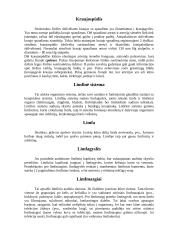 Širdies ir kraujagyslių sistema 4 puslapis