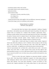 Šiuolaikinės edukologijos filosofija 11 puslapis