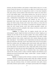 Šiuolaikinės edukologijos filosofija 16 puslapis