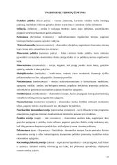 Šiuolaikinės makroekonominės teorijos 13 puslapis