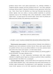 Šveicarijos kalnų kurortinis slidinėjimo regionas: Flims Laax Falera 6 puslapis