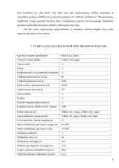 Šveicarijos kalnų kurortinis slidinėjimo regionas: Flims Laax Falera 8 puslapis