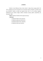 Šventės organizavimas: Kalėdų šventė 3 puslapis