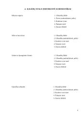 Šventės organizavimas: Kalėdų šventė 6 puslapis