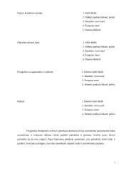 Šventės organizavimas: Kalėdų šventė 7 puslapis