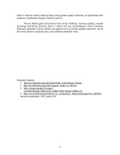 Šviesa ir lempos 6 puslapis