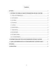 Tapybos technikų mokymas ikimokykliniame ugdyme 2 puslapis