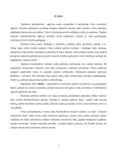 Tapybos technikų mokymas ikimokykliniame ugdyme 3 puslapis