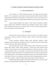 Tapybos technikų mokymas ikimokykliniame ugdyme 4 puslapis