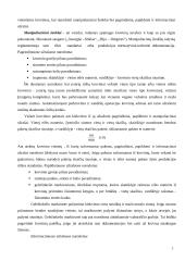 Tara ir krovinių markiravimas 7 puslapis